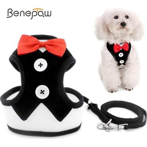 Benepaw No Pull Dog Harness And Leash Set Adjustable Easy Control Breathable Bowtie Cat Puppy Harness Vest For Party Wedding