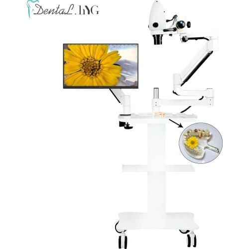 Dental Equipment Microscope with Built-in Camera 3X~55X Continuous zoom for Optional Dental Equipment Chair Unit 100V-240V