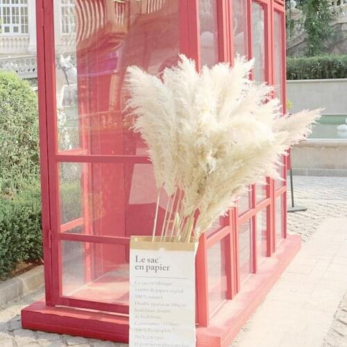 Natural Reed Dried Flowers Large Dried Flower Home Vase Bouquet Decoration Family Wedding Decoration