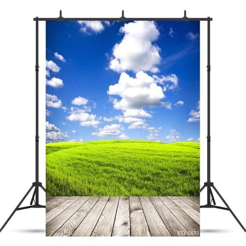 Sky Grass Photography Background Wooden Floor Backdrops for Photo Shoot Props Vinyl Cloth Printed Photo Backdrop Photophone