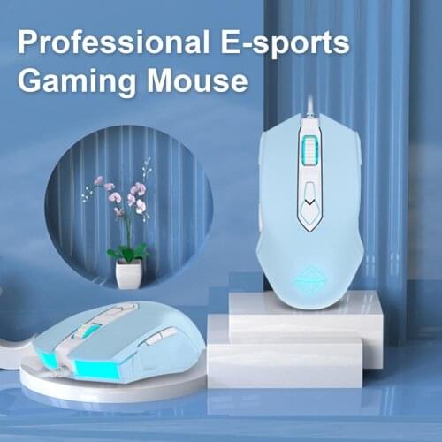 Adjustable 2 Colors Computer Mouse Gaming Optical Wired Mouse Fashion Ergonomic Mouse Girl Women Silent Mouse