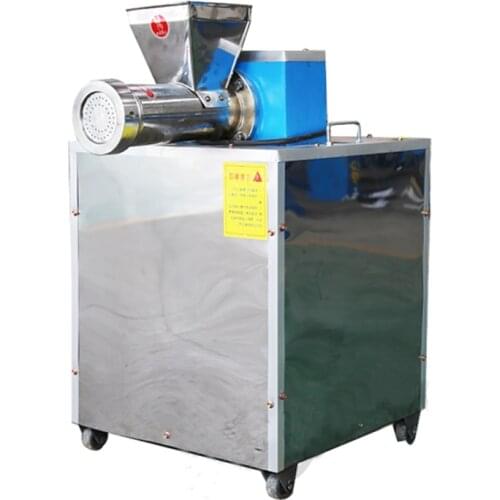 Automatic Pasta Machine Commercial Noodle Machine Pressing Pasta Extruder Stainless Steel Noodle Maker With 3 Molds Model 60