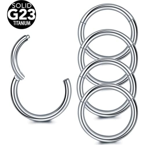1PC G23 Titanium Segment Hinged Rings Nose Piercings Labret Lip Nose Earrings Helix Conch Daith Piercings Body Pircing Jewelry