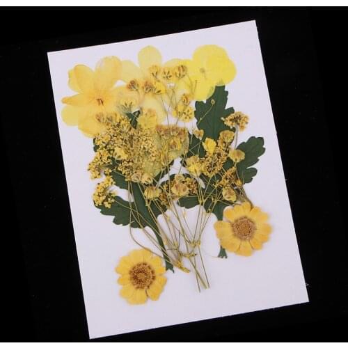 1 Bag natural pressed Leaves dried flowers plant specimen filler for scrapbnooking card art craft bookmark home decoration diy