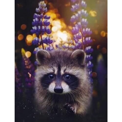 Full square/round drill diamond embroidery raccoon flower picture,5d diamond painting cross stitch diamond mosaic animals FG1844