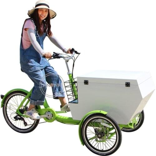 Metal Cargo Bike 3 Wheels Electric Adult Tricycles Durable Outdoor Bicycle Easy To Clean And Safe Durable Cargo Loading Trail