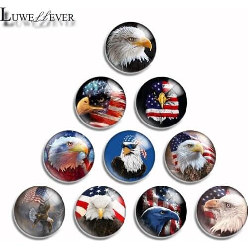 12mm 10mm 14mm 16mm 20mm 25mm 485 Cool Bald Eagle Mix Round Glass Cabochon Jewelry Finding 18mm Snap Button Charm Bracelet