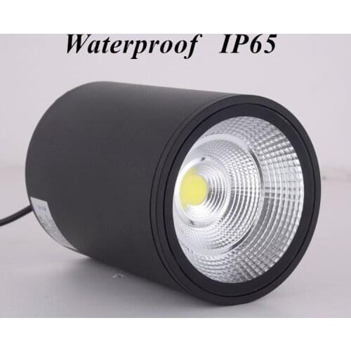 LED waterproof Ip65 COB Ceiling outdoor Surface Mounted 12W 20W 30W AC85-265V warm white LED downlight Hotel villa home lighting