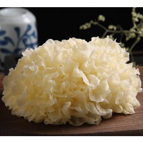 Tremella,White fungus,fungus,Fresh white fungus is picked from the source