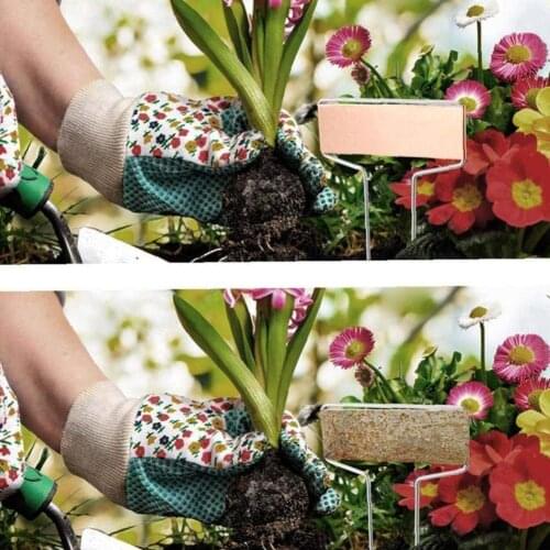 20Pcs Metal Plant Labels Garden Markers T-Type Gardening Name Herbs Pots Display Identify Stick For Vegetables Herb Flower