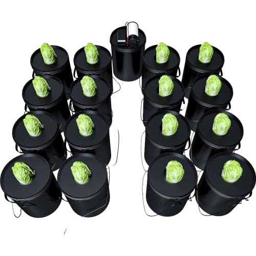 16 buckets DWC hydroponic system with reservoir complete indoor growing system for sale