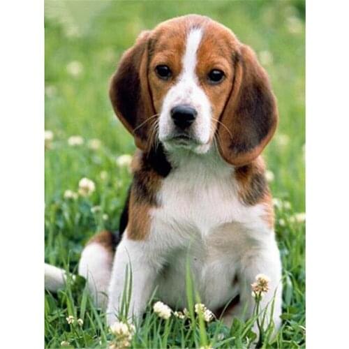 Animal Dog Beagle Printed Canvas 11CT Cross Stitch Set DIY Embroidery DMC Threads Painting Handicraft Handmade Stamped