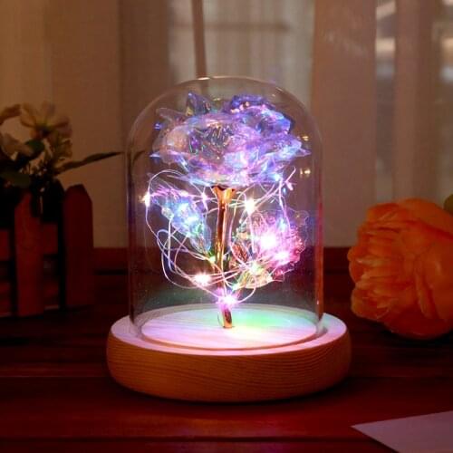LED Galaxy Rose Eternal Foil Flower With Fairy String Lights In Dome For Christmas Valentines Day Gift
