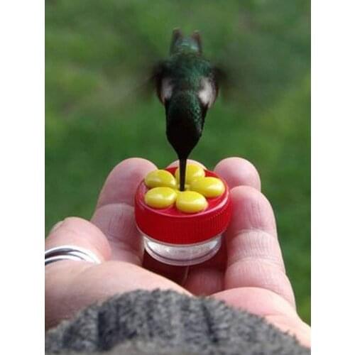 4 Pcs Handheld Hummingbird Feeders With Suction Cup, Multifunctional Mini Feeder Creative Straws For Pets Outdoor Bird Feeding