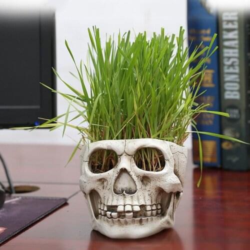 Retro Skull Rein Vae Peronality Flowerpot Office Hollow Skull corative Flower Pot Home coration Halloween Prop Gift
