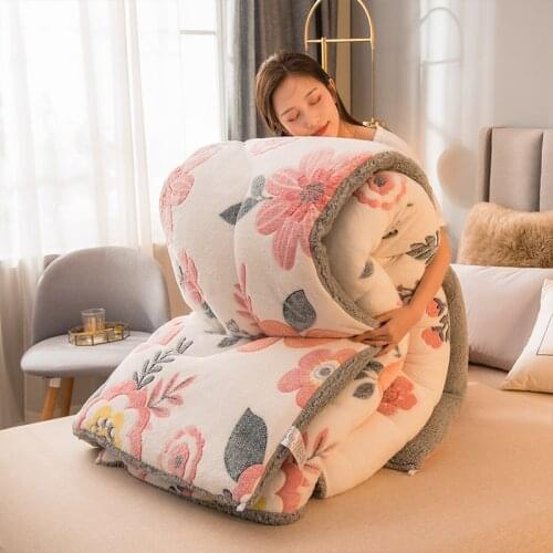 Lamb double-faced velvet wool quilt Duvet 2/3/4/5 kg winter thicken blanket core extra warm And Soft double king comforter