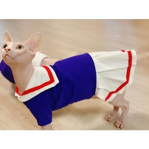 Sphinx hairless cat German cat navy dress navy suit spring and summer thin