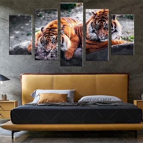 Canvas Painting Living Room Wall Poster 5 Panel Animal Tiger Frames In Modular Print Cuadros Decoration Modular Pictures Artwork
