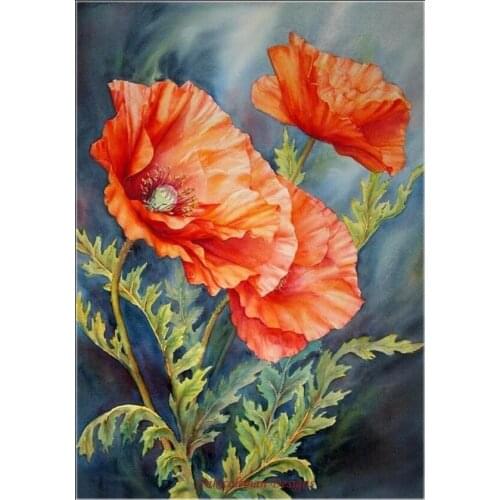 Embroidery Counted Cross Stitch Kits Needlework - Crafts 14 ct DMC DIY Arts Handmade Decor - Poppy 3