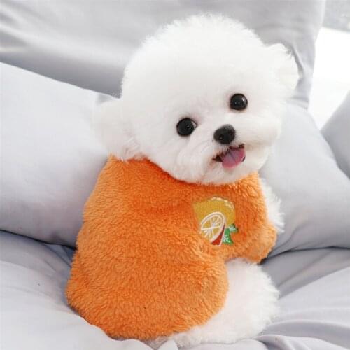 Fruit Embroidery Dog Clothes Warm Pets Dogs Clothing for Small Dogs Costume Pet Chihuahua Clothes Pet Puppy Clothes Ropa Perro