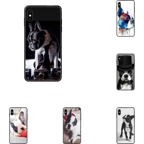 Diwqxr IPhone XR