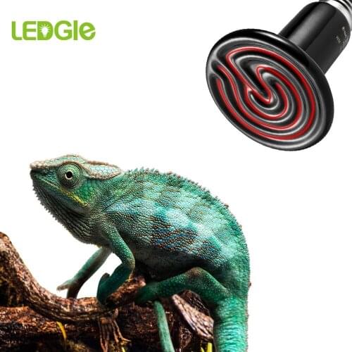 E27 Pet Reptile Far Infrared Ceramic Heating Lamp 220V Heat Emitter Light Bulb 50W 100W 150W Bulb for Reptiles Lizards Tortoise