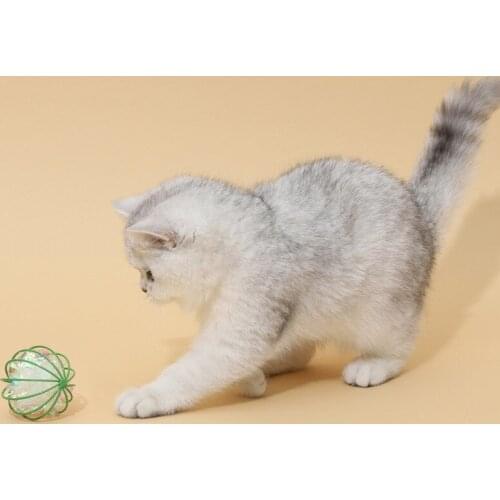 Cat toy ball colorful paper tease cat ball bite resistant light kitten products toys kitten toys pet products throwing toys