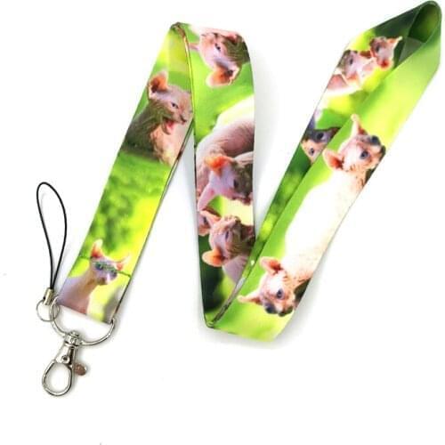 10pcs Animal Hairless Sphynx Cats Neck Strap Lanyards ID badge holder keychain Mobile Phone Strap Gift Ribbon webbing necklace