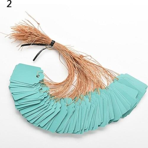 100 Pcs Plastic Waterproof Plant Name Tags With Strip Line Gardening Labels Signs Mark Tools Flower Shop Garden Accessories