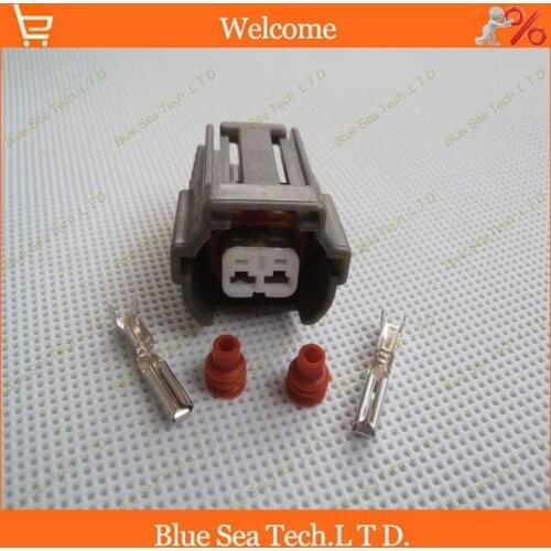 Sample,2 sets 2Pin Oil nozzle plug,Fuel spray nozzle connector,Car waterproof connector for Santana,Poussan,Passat B5 etc.VW car