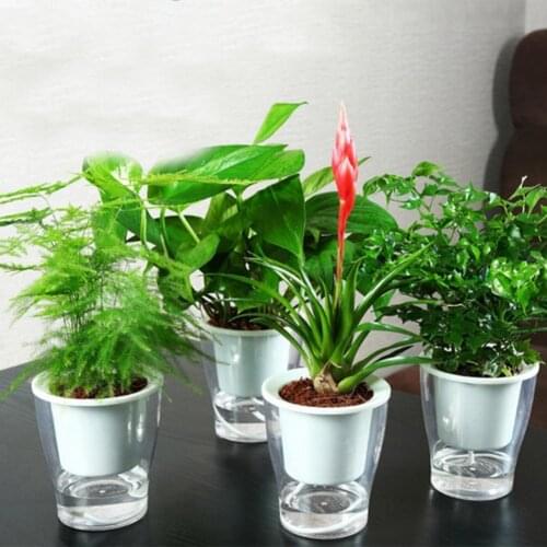 Self Watering Flowerpot Hydroponic Plants Transparent Plastic Vase