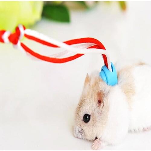 Hand-woven rope pet squirrel rabbit out of the slip rope walk pet guinea pig guinea pig hamster traction rope