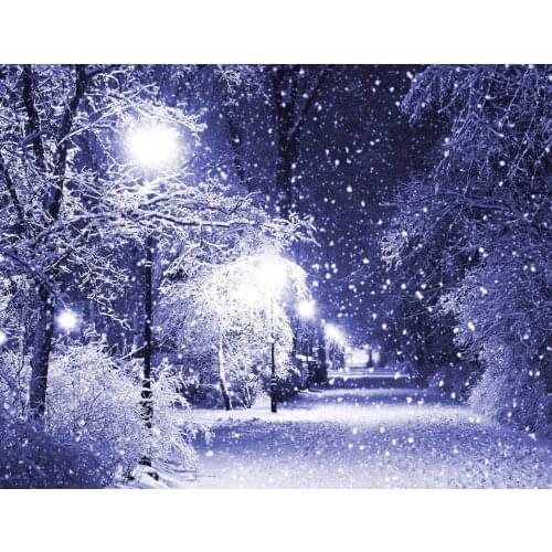 14/16/18/27/28 Top Quality Beautiful Counted Cross Stitch Kit Abstraction Beauty and Grape A10776 scenic cottage