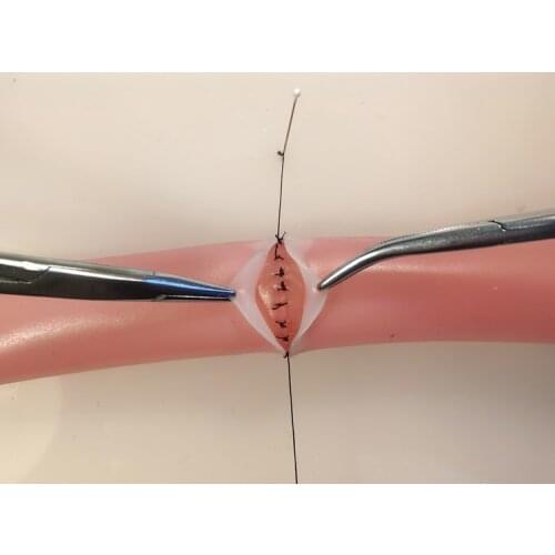 Simulated training intestinal tube Simulated training of large blood vessels Mucosal serosal double layer Anastomosis training