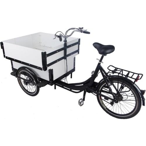 Liuben Children's Electric Scooters