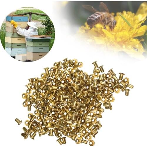 Beekeeping 12000pcs Brass Beehive Copper Eyelet Frames Basis Foundation Eye Hive Copper Eyes Goods Tools For Beekeeper Supplies