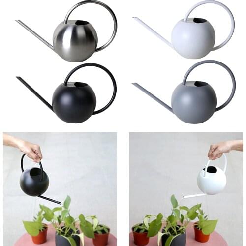 Stainess Steel Watering Can Outdoor for Watering Flower Succulent Plants