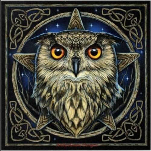 Embroidery Counted Cross Stitch Kits Needlework - Crafts 14 ct DMC DIY Arts Handmade Decor - Wise One