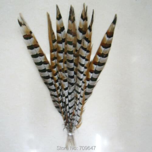 Wholesale-50pcs/lot! 18-20inches(45-50cm)Reeves Pheasant Tail Feathers Pheasant Tail Feathers AA quality,feathers for crafts