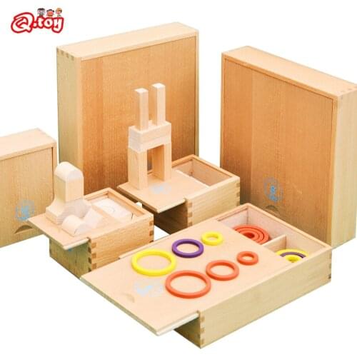 Preschool Montessori Wooden Educational Toys Froebel Blocks Grace Series Teaching Aids Early STEM Sensory Arts Math Toys For Kid