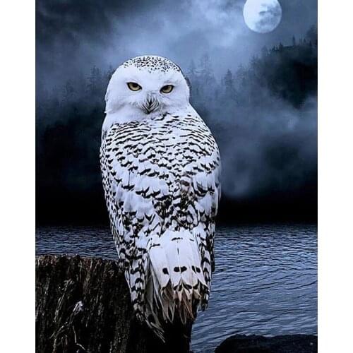HOT SALE Owl Around Lake Resin Full Diamond Painting Diamond Mosaic Beadwork Embroidery Gift Making Tools