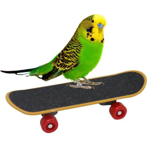Adhere To Fly Skateboards