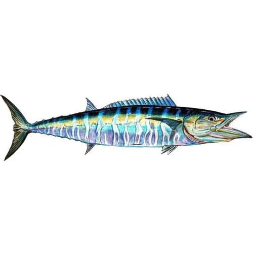 Personality High Quality Vinyl Wahoo Fish Sticker Car Home Truck SUV Boat Decal Animal Car Stickers Graphics Apply To Car Window