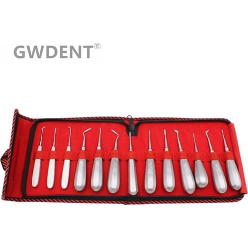 13pcs Dental Elevator Set Made in Pakistan Teeth Extraction Tooth Extracting Forceps Stainless Steel Curved Root Lift Elevator