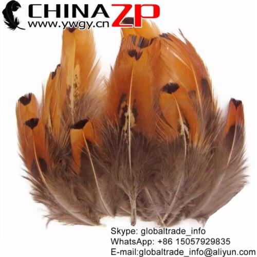 CHINAZP 200pcs/lot Unique Dyed Gold Natural Beautiful Ringneck Loose Pheasant Plumage Feathers Crafts