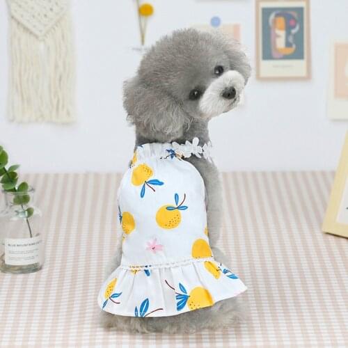 Pet Clothes Dog Clothes Spring and Summer Clothes New Cat Clothes Dress Pet Clothes Skirt Two-legged Clothes Dog Dresses