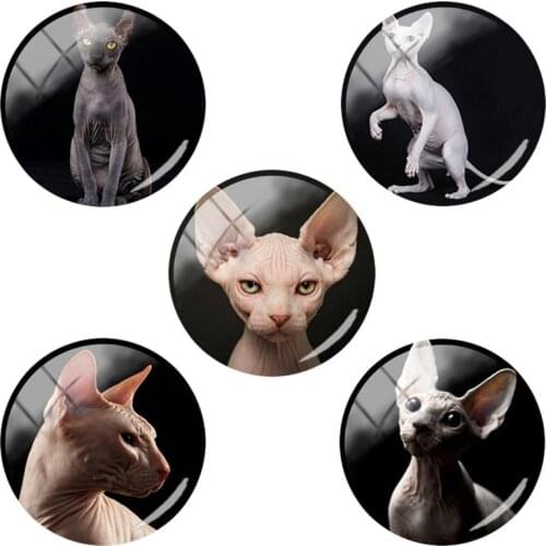TAFREE Fashion Sphinx cat jewelry Accessories 12mm/15mm/16mm/18mm/20mm/25mm round glass Flat Back gifts CA171