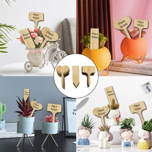 60pcs Heart Rectangle Shape Flower Plant Labels Garden Marker Tags Classification Writing Plate Board for Nursery Pots M17D