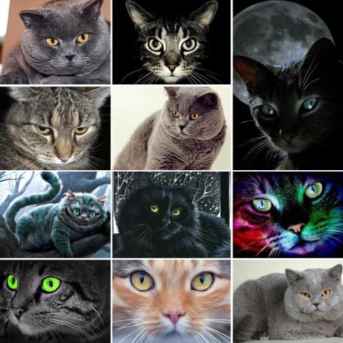 30x40x50x60x70 diamond painting 5D Full Square embroidery mosaic Cross Stitch Cute animal black cat DIY home Decoration gift