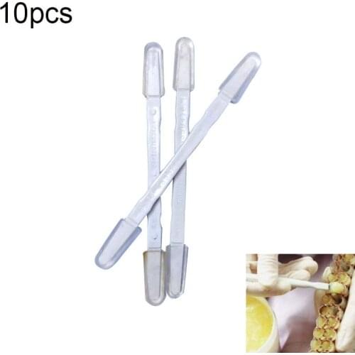 10pc Beekeeping Double-headed Take Slurry Royal Pen Jelly Honey Collect Pen Apiculture Beekeeping Equipment Grafting Tool